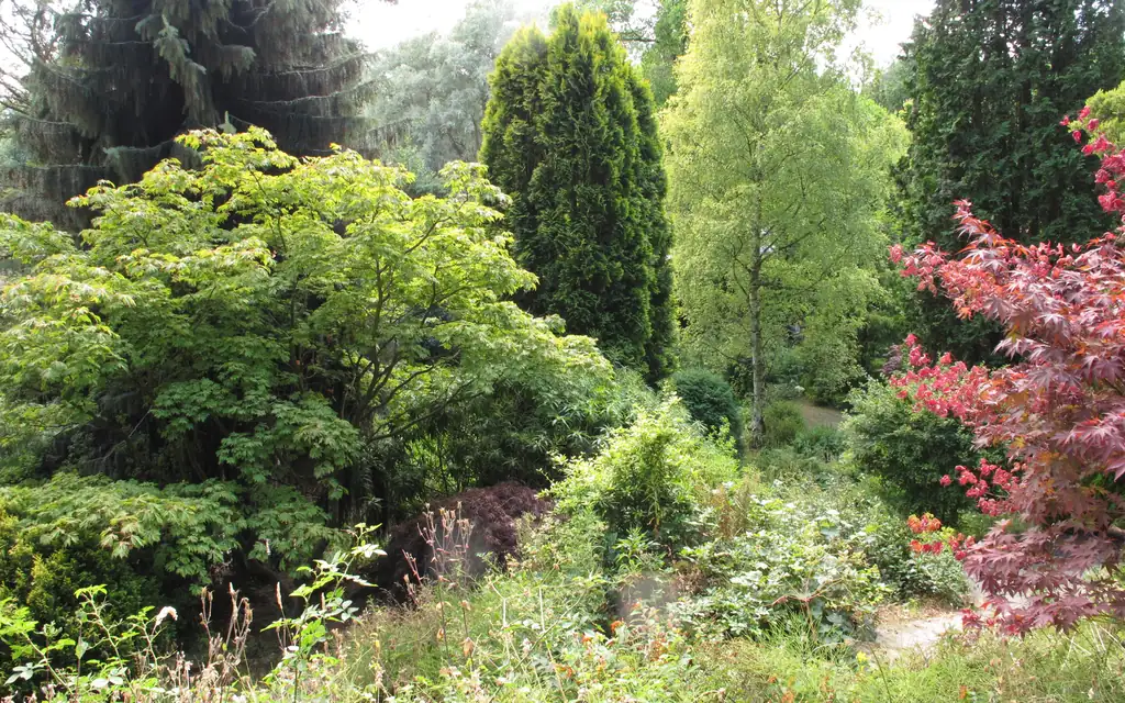 Driving lessons in West Didsbury near Fletcher Moss Botanical Gardens – Passers Hub Driving School